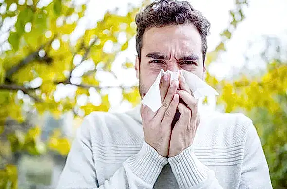 Flooring for Allergies: Breathe Easier Today