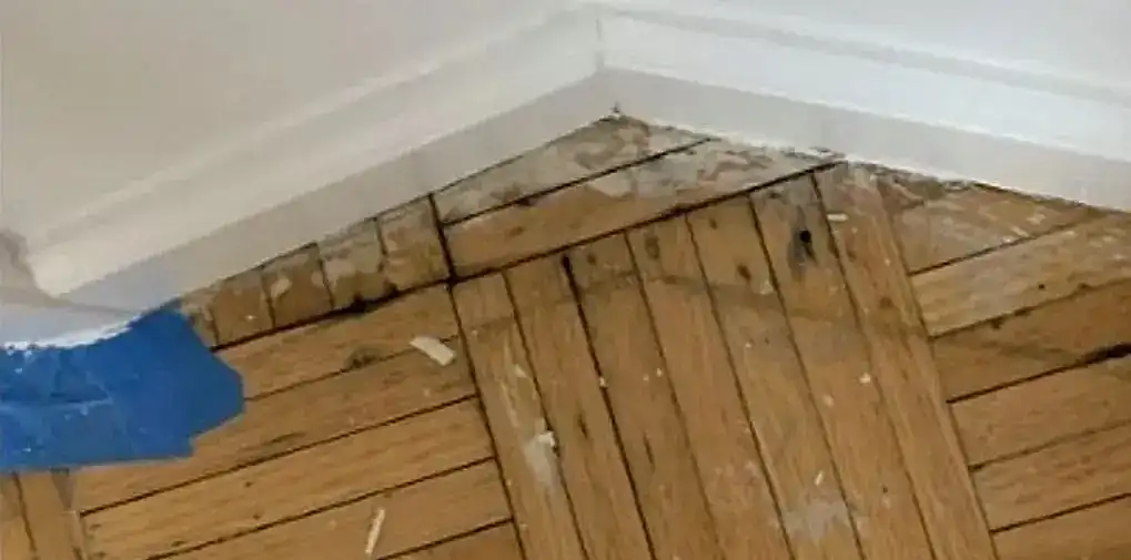 Refinishing Your Hardwood Floors – Revive Your Timeless Floors