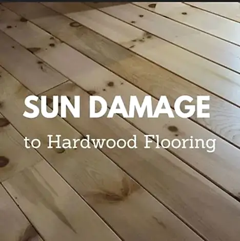 Preventing Sun Damage to Hardwood Floors: Essential Tips
